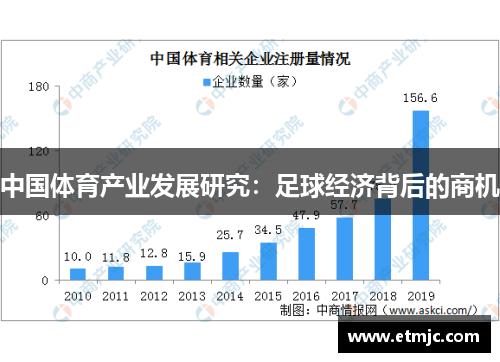 中国体育产业发展研究:足球经济背后的商机